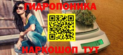 дмт Гусь-Хрустальный