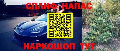дживик Гусев